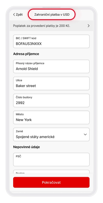Zahraniční platba pokračování