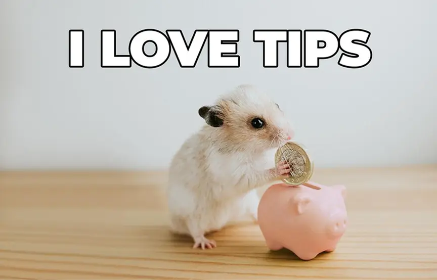 obrazek krecek s pokladnickou