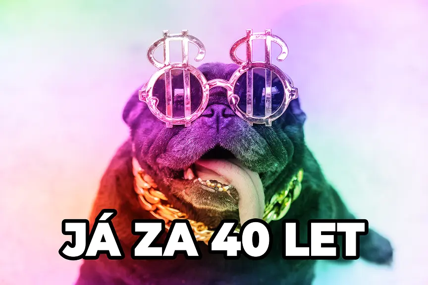 obrazek pes s brylemi