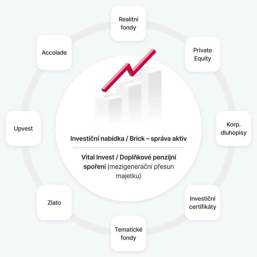 infografika investice