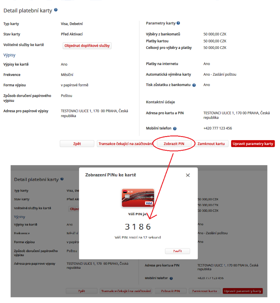 Display of payment card PIN