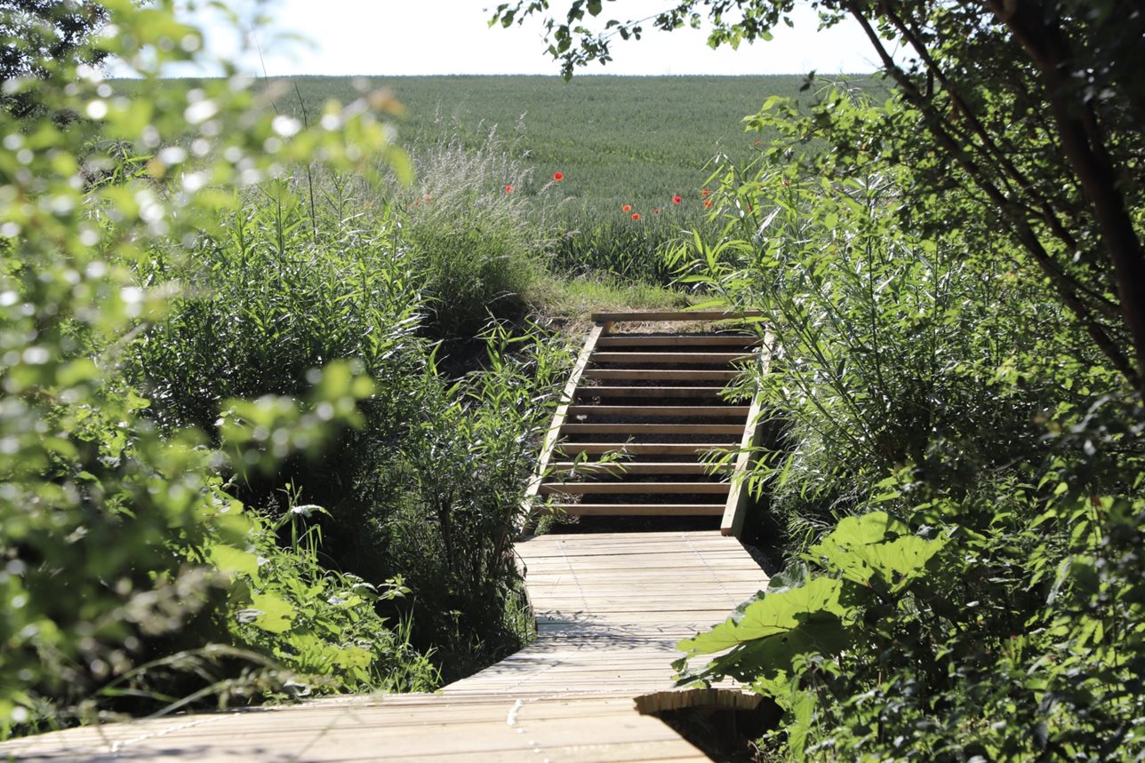 Životní prostředí