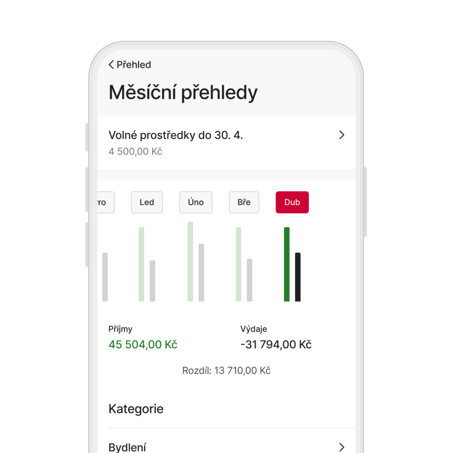 Přehledy příjmů a výdajů