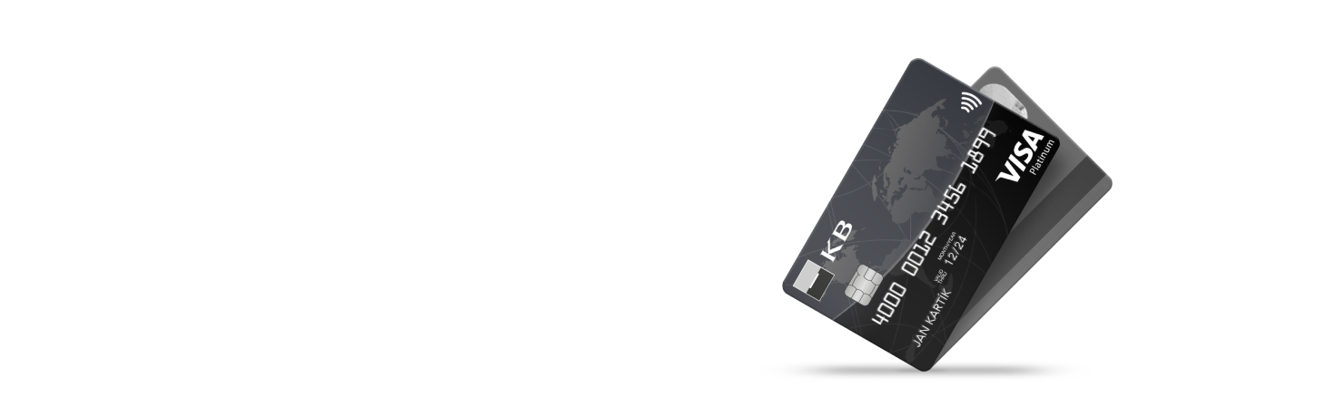 Platinum Visa