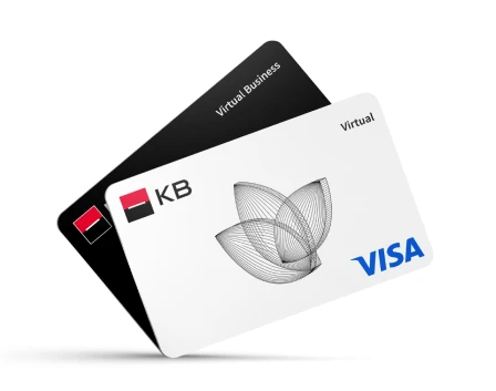 Virtuální karta Visa