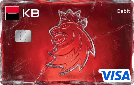 Národní hokejový tým 2026