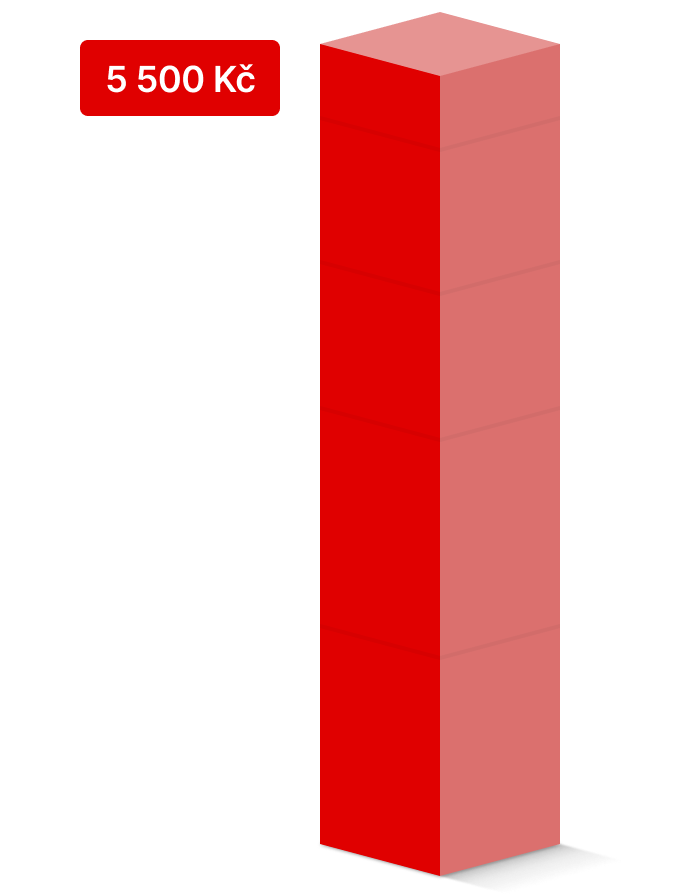 Bonus 500 Kč pro děti